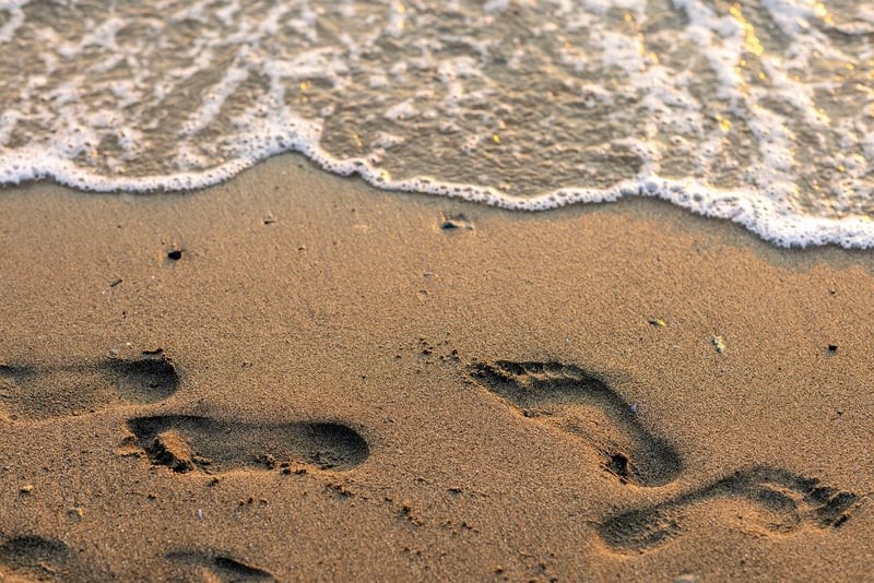 Ocean Image